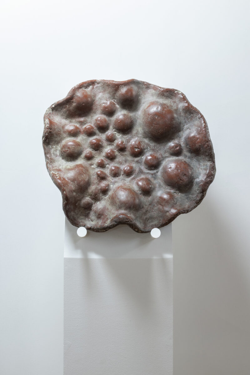三輪途道　《醤油せんべい皿》　2022年、脱乾漆・彩色、9×47.5×41cm、撮影：木暮信也