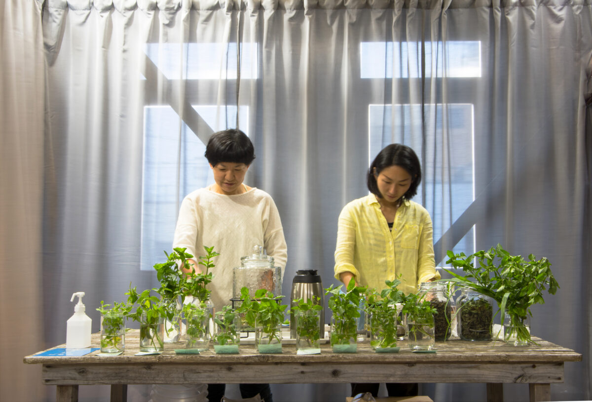 《ミントバー》
2021年　ミクストメディア　サイズ可変
展示風景：観慶丸、リボーンアートフェスティバル 2021（宮城、2021年）
Photo by Tartaruga