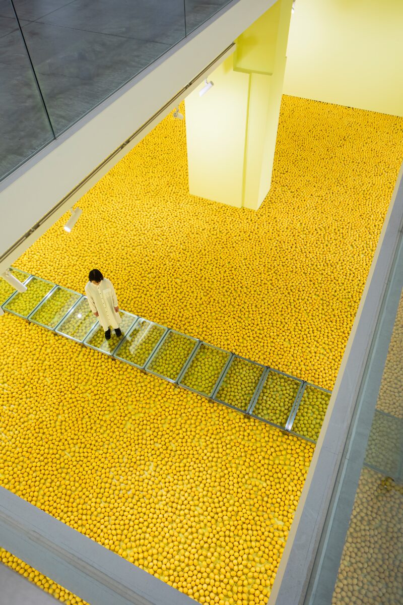 《レモンプロジェクト03》
2020年（1997年）　レモン、ステンレス、ガラス、ペイント、レモンオイル　サイズ可変
展示風景：アーツ前橋（群馬、2020年）
写真：木暮伸也
