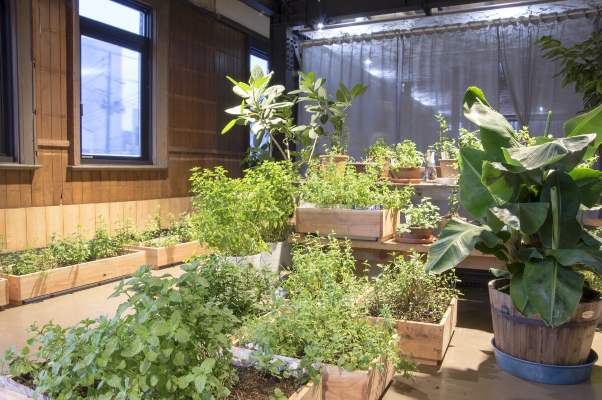 《ミント・ガーデン》
2021年　ミクストメディア　サイズ可変
展示風景：観慶丸、リボーンアートフェスティバル 2021（宮城、2021年）
Photo by Tartaruga